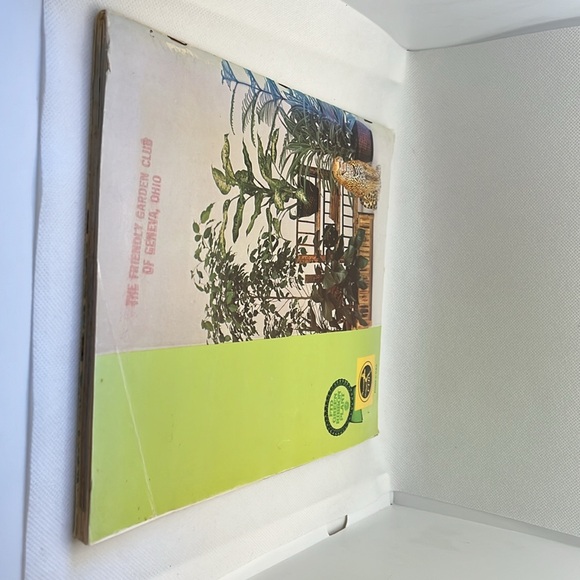 Professional Guide to Green Plants Houseplant guide - Picture 2 of 10